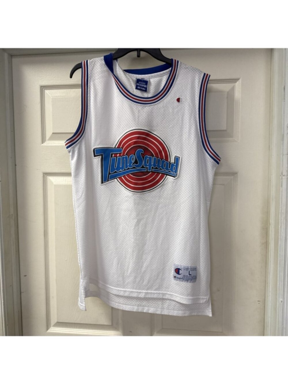 Lola Bunny #10 Space Jam Tune Squad Basketball Jersey -Women Size Large